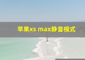 苹果xs max静音模式